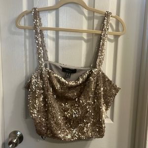 Sequin Crop Top 2X